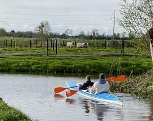 Kanu-Erlebnis in der Nhe des Ferienhauses in Gonga mit Blick auf die Schafe in Friesland.