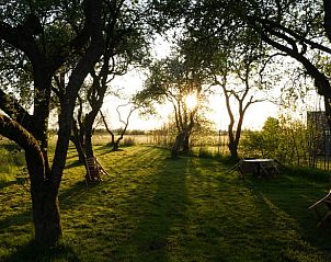 Unterkunft 2617204 - Ferienhaus Het Friese platteland - Vakantiehuisje in Weidum