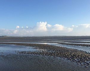 Guest house 261782 - Holiday property Het Friese platteland - Vakantiehuis Bargereed 4 Tzummarum