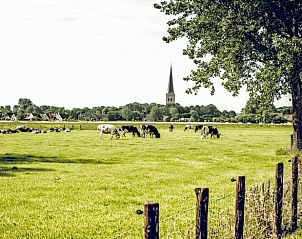 Rustiek dorpje nabij Vakantiehuis in Klooster Lidlum met water en bomen, Klooster-Lidlum, Friesland.