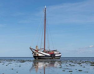 Bloemenvelden in bloei rondom Vakantiehuis in Klooster Lidlum, Klooster-Lidlum, Friesland.