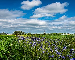 Uitzicht op het dorp met kerktoren nabij Vakantiehuis in Klooster Lidlum, Klooster-Lidlum, Friesland.