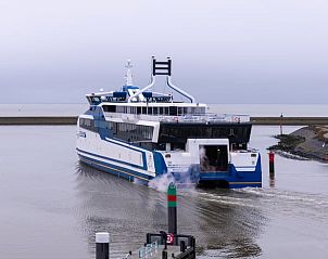 Groene weilanden met koeien in de buurt van Vakantiehuis in Klooster Lidlum, Klooster-Lidlum, Friesland.