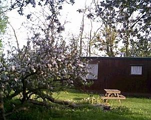 Guest house 261801 - Bungalow Het Friese platteland - de slypstien wjelsryp (boerderijcamping)