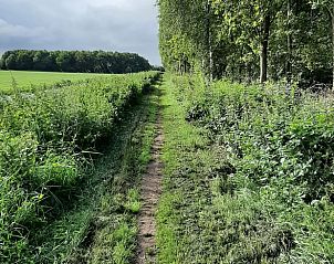 Guest house 2620701 - Holiday property Het Friese platteland - Vakantiehuisje in De Knipe