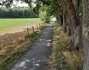 Guest house 2620701 - Holiday property Het Friese platteland - Vakantiehuisje in De Knipe