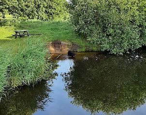 Guest house 2620701 - Holiday property Het Friese platteland - Vakantiehuisje in De Knipe