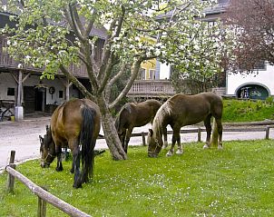 Guest house 26211401 - Apartment Karnten - Gasthof Tell