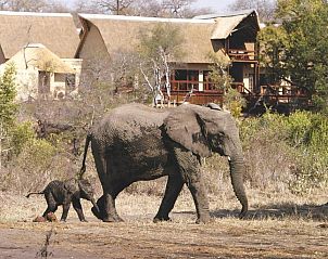 Unterkunft 2626801 • Ferienhaus Mpumalanga • Elephant Plains Game Lodge 