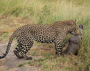 Verblijf 2626808 - Vakantiewoning Mpumalanga (Kruger Park) - Nkorho Bush Lodge