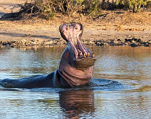 Verblijf 2626808 - Vakantiewoning Mpumalanga (Kruger Park) - Nkorho Bush Lodge