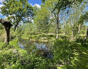 Zomerse bloemenweide bij Vakantiehuis in De Tike, kleurrijke natuur in Friesland.