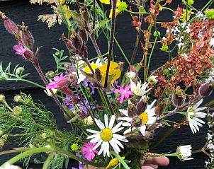 Fietsnetwerkkaart nabij Vakantiehuis in De Tike, ideaal voor fietsliefhebbers in Friesland.