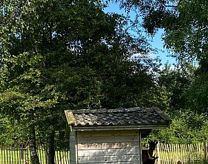 Verblijf 263803 - Vakantiewoning Het Friese platteland - Huisje in Damwald