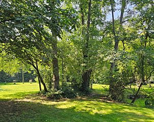 Guest house 264202 - Holiday property Het Friese platteland - Huisje in Jistrum