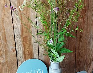 Guest house 267016 - Holiday property Het Friese platteland - Huisje in Jannum bij Dokkum