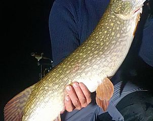 Guest house 267016 - Holiday property Het Friese platteland - Huisje in Jannum bij Dokkum