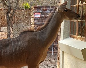 Verblijf 2681005 - Vakantiewoning Mpumalanga (Kruger Park) - Ons Blyplek