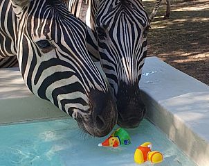 Verblijf 2681005 - Vakantiewoning Mpumalanga (Kruger Park) - Ons Blyplek