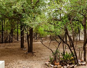 Verblijf 2681005 - Vakantiewoning Mpumalanga (Kruger Park) - Ons Blyplek