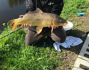 Verblijf 269203 - Vakantiewoning Het Friese platteland - Vakantiehuisje in Stiens