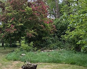 Unterkunft 269204 - Ferienhaus Het Friese platteland - Vakantiehuis in Stiens