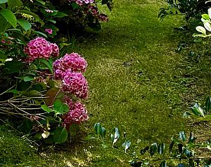 Unterkunft 269204 - Ferienhaus Het Friese platteland - Vakantiehuis in Stiens