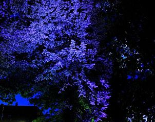 Unterkunft 28003301 - Appartement Bayern - Hotel zum Zauberkabinett