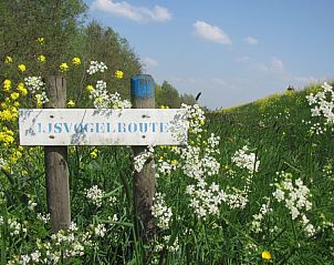 IJsvogelroute nabij De Ruif bed and breakfast, Asperen, perfect voor natuurliefhebbers.