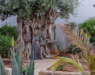 Verblijf 28106203 - Vakantie appartement Kreta - Lyttos Beach