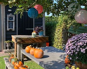 Guest house 284707 - Holiday property Rivierengebied - Huisje in Zoelen