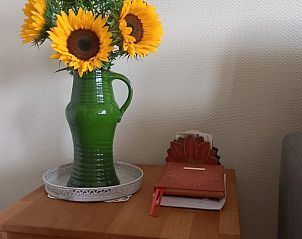 Guest house 290101 - Holiday property Achterhoek - Vakantiewoning Hogeweg