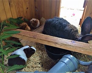 Guest house 290702 - Holiday property Achterhoek - Olde Veurhuus