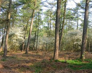 Guest house 292222 - Holiday property Achterhoek - Vakantiehuisje in Hengelo Gld