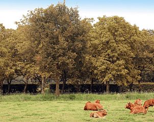 Guest house 292222 - Holiday property Achterhoek - Vakantiehuisje in Hengelo Gld