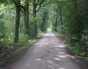 Guest house 294723 - Holiday property Achterhoek - Vakantiehuis Het Hof