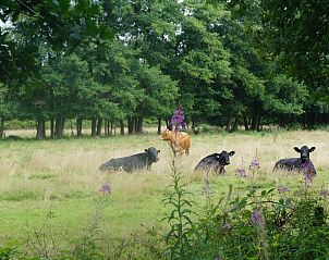 Guest house 294723 - Holiday property Achterhoek - Vakantiehuis Het Hof