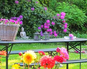 Guest house 297002 - Holiday property Achterhoek - Vakantiehuisje in Warnsveld