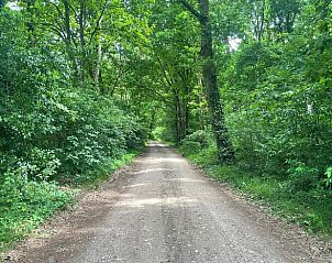 Guest house 297108 - Holiday property Achterhoek - Vakantiehuis in Almen