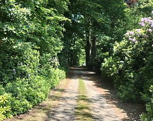 Guest house 297405 - Holiday property Achterhoek - Vakantiehuisje in Winterswijk Woold
