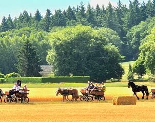 Guest house 297802 - Holiday property Achterhoek - Huisje in Kilder