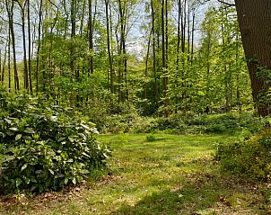 Guest house 298201 - Holiday property Achterhoek - Vakantiehuis in Winterswijk Ratum