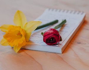 Guest house 298406 - Holiday property Achterhoek - Vakantiehuisje in Joppe