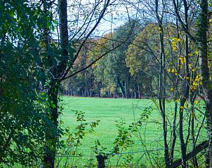 Guest house 298407 - Holiday property Achterhoek - Vakantiehuisje in Joppe