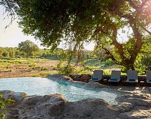 Verblijf 3026803 - Vakantiewoning Mpumalanga (Kruger Park) - Motswari Private Game Reserve