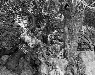 Unterkunft 30406201 - Ferienhaus Kreta - Agathes Traditional Houses