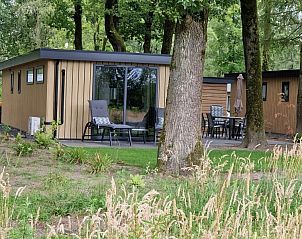 Verblijf 3206107 - Chalet Veluwe - In de bosrand Wood 386 Bospark Ede