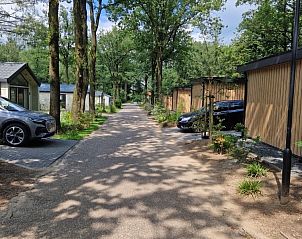 Verblijf 3206107 - Chalet Veluwe - In de bosrand Wood 386 Bospark Ede