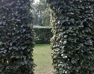 Natuurlijke doorgang bij El Granero in Putten, Veluwe, omringd door groen en rustgevende natuur.