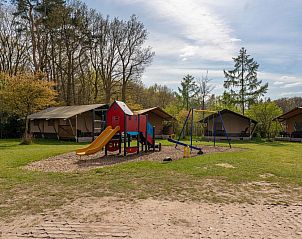 Guest house 3224126 - Holiday property Veluwe - Tiny Zwarte Mees